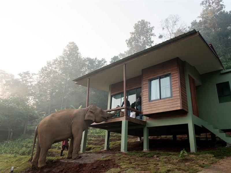 Chiang Mai Elephant Friends Exterior foto